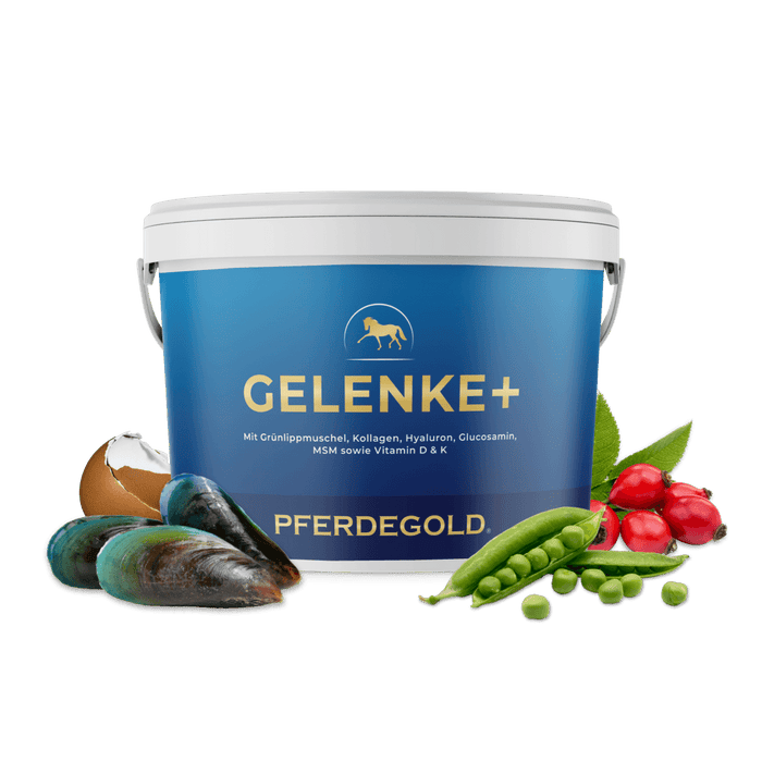 Gelenke+