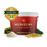 Muskeln+ 2.0