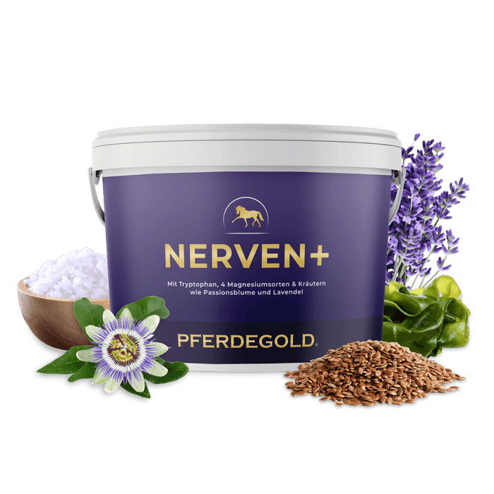 Nerven+ mit Tryptophan
