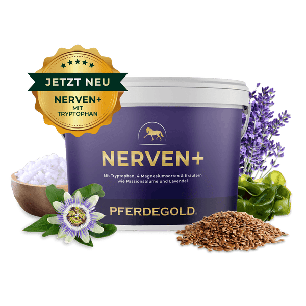 Nerven+ mit Tryptophan