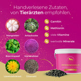 Stoffwechsel