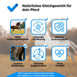 AnoKath® Liquid – Säure-Basen-Haushalt beim Pferd unterstützen