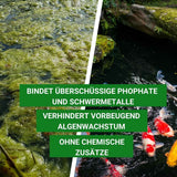 Phosphatbinder – Effektive Lösung für klares Teichwasser