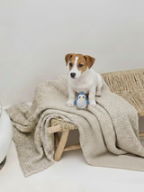 BUDDY. Hundespielzeug aus Leder 