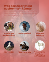 Krähenbusch® Mineralfutter Sport