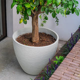 Stonecore Pflanzkübel LIV 1025 x 950 mm