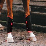 AnoKath® Rotlicht-Gamasche Pferd LEG 110 – Tiefenwärme, Regeneration & Mobilität