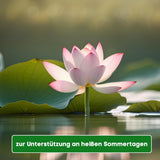 Aqua-Cereal® Sauerstoff-PLUS – Für Teiche