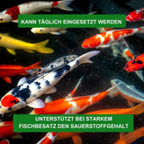 Aqua-Cereal® Sauerstoff-PLUS – Für Teiche