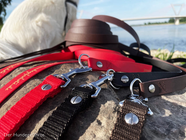 Schleppleine FERNWEH aus BioThane®/POP - Band - abnehmbarer Handgriff - 5 -15 m