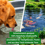 Wasserwerte Stabilisator - Aqua-Cereal® NATUR-POND 3 in 1