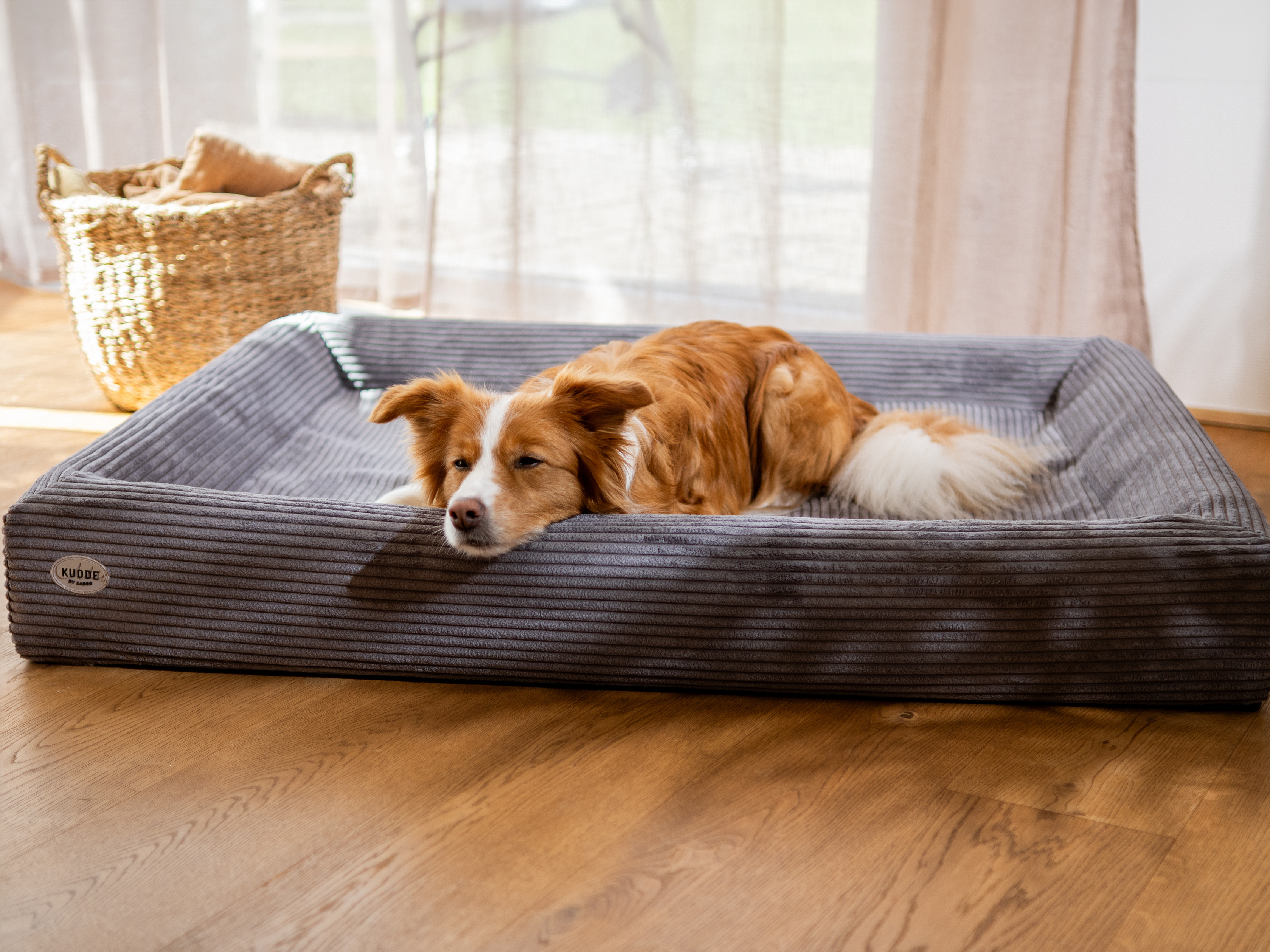 Bezug für KUDDE Cord