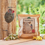 Sonnenblümchen – Snack für Vögel