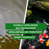 Teichklar Ultra - für einen klaren Teich - Aqua-Cereal®