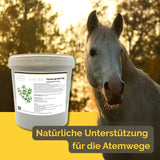 Thymian Pferd 1kg