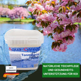 Montmorillonit Tonmineral 2kg - Dreischicht-Tonmineral