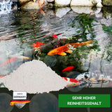 Montmorillonit Tonmineral 2kg - Dreischicht-Tonmineral