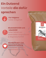 Krähenbusch® Mineralfutter Sport