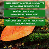 WinterStabil - richtige Vorbereitung auf den Winter