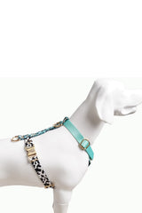 Hundegeschirr Aqua-Camo