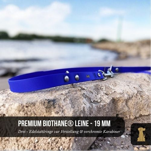 Premium Hundeleine RATZFATZ aus BioThane®/POP - Band - mit Edelstahlkomponenten - verstellbar