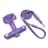 Hundegeschirr-Set Teddy Violett