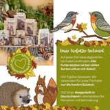 Sonnenblümchen – Snack für Vögel