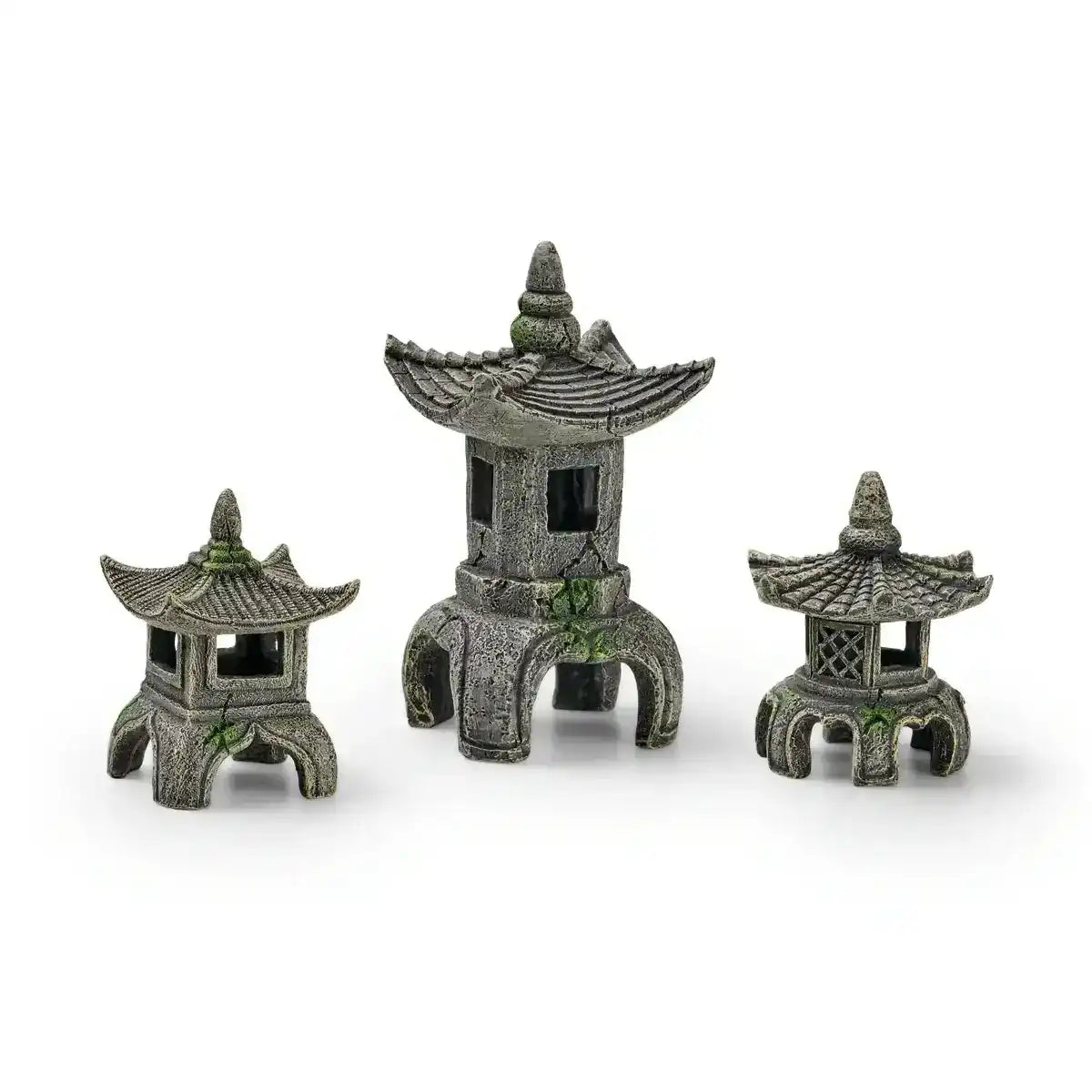 EDEN Asien Set