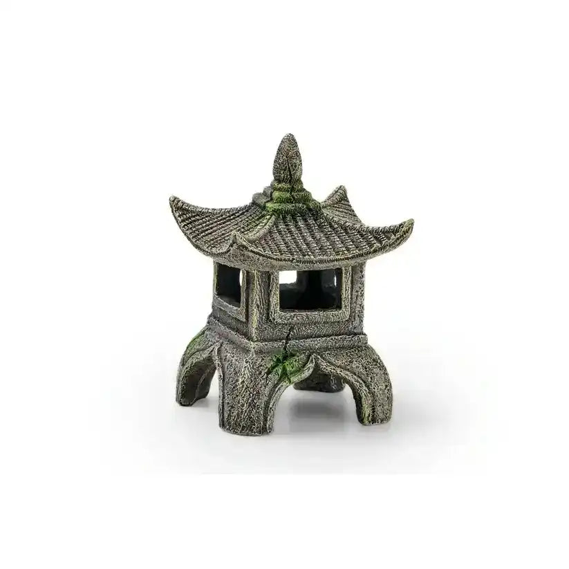 EDEN Asien Tempel S