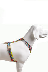 Hundegeschirr Ethnic-Vibrance