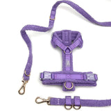 Hundegeschirr-Set Teddy Violett