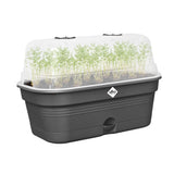 Elho – Green Basics – Anzuchtschale All-in-1 – Größe M – Living Black Schwarz ca.32mm