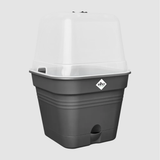 Elho Green Basics Anzucht Topf quadratisch 20 cm Living