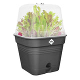 Elho - Green Basics - Quadratische Anzucht-Topf All-In-1 - 30 cm - Living Black