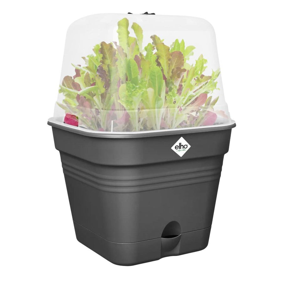 Elho - Green Basics - Quadratische Anzucht-Topf All-In-1 - 30 cm - Living Black