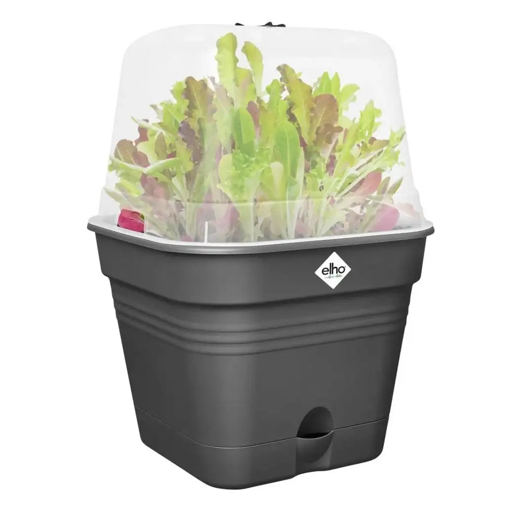 Elho - Green Basics - Quadratische Anzucht-Topf All-In-1 - 30 cm - Living Black