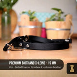 Premium Hundeleine RATZFATZ aus BioThane®/POP - Band - mit Edelstahlkomponenten - verstellbar