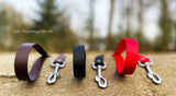 Premium Hundeleine UM'S ECK aus BioThane®/POP - Band - mit Edelstahlkomponenten - 1,5 m
