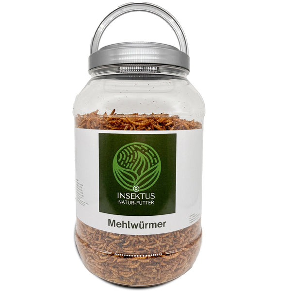 Insektus® Mehlwürmer getrocknet im Vorratsbehälter 5L.