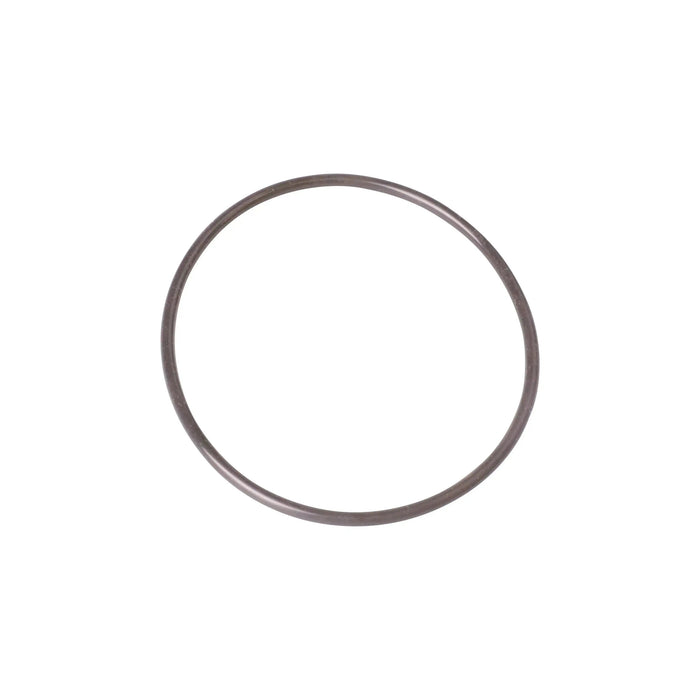 O-Ring SI 100 x 4 SH45