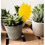 SUBSTRAL® Naturen® Gelb-Sticker 3 x 15 Stück