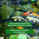 ph Wert senken im Teich mit pH Minus 5kg