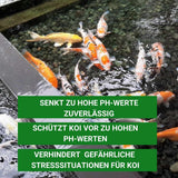 ph Wert senken im Teich mit pH Minus 5kg