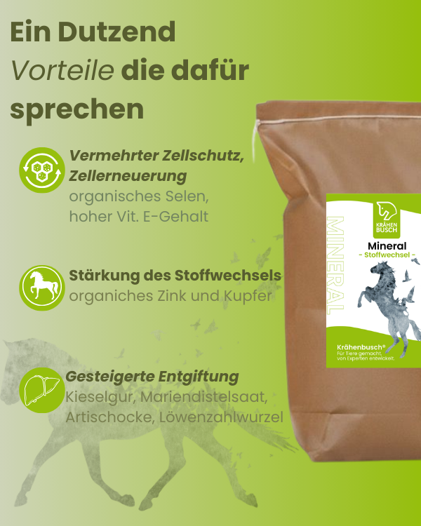 Mineral Stoffwechsel