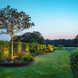 Cortenstahl Rasenkante – Gewalzter Oberrand, 70 mm, 20er Pack