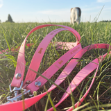 Premium Hundeleine UM'S ECK aus BioThane®/POP - Band - mit Edelstahlkomponenten - 1,5 m