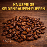 Insektus® Seidenraupen im Vorratsbehälter 5L.