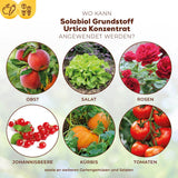 Solabiol Grundstoff Urtica Konzentrat 1 l Pilzabwehr 2-in-1