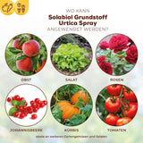 Solabiol Grundstoff Urtica Spray 1 L 2-in-1 Pilzkrankheiten Schadinsekten