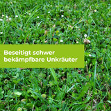 Loredo Quattro Universal-Rasenunkrautfrei für400 m² 400 ml